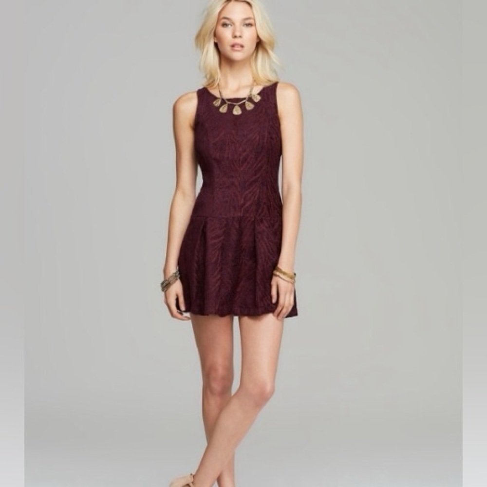 Women’s FREE PEOPLE Chenille Zebra Dress- Size 4